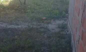 Imagem 6: Terreno com casa quase pronta