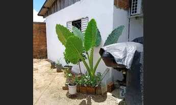 Imagem: Casa venda documentada conj. Tucumã