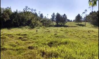 Imagem 5: Área pasto 20.000m2 COCUERA