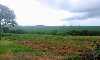 Imagem: Vendo chácara em Goianopolis