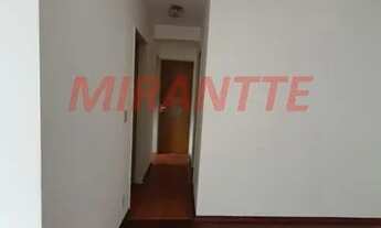 Imagem 3: Lindo apartamento em Vila Albertina