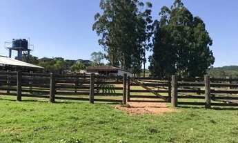 Imagem 7: Campo Largo, 52 alq, 125 ha, Haras, gado ou reflorestamento