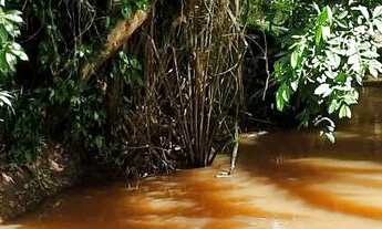 Imagem 5: Vendo maravilhoso sítio em Nazaré das farinha
