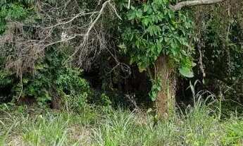 Imagem 4: Maravista lindo lote comercial plano e muito bem localizado