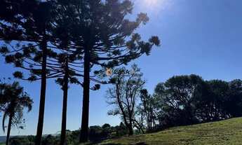 Imagem 3: Chácara á venda! Chácara completa com tanques, casa e fácil acesso