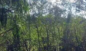 Imagem 4: Lote/Terreno para venda tem 1362 metros quadrados em Los Álamos - Vargem Grande Paulista