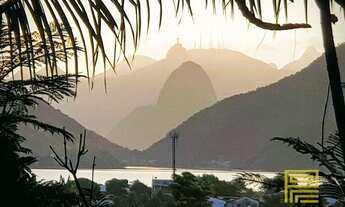 Imagem: Chácara com 4 quartos à venda, 3996 m²