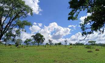 Imagem 4: Chácara DF Planaltina Pedra Fundamental