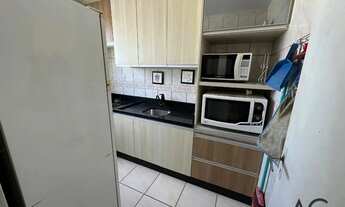 Imagem 6: Apartamento para aluguel tem 37 m² com 1 quarto em Campinas - São José - SC