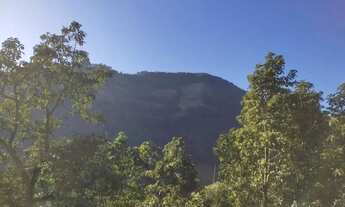 Imagem 3: Sítio / Chácara para Venda em Picada Café, Serra Verde