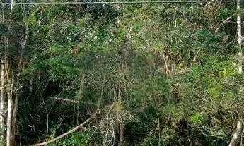 Imagem 2: Lote/Terreno para venda tem 1362 metros quadrados em Los Álamos - Vargem Grande Paulista