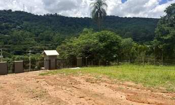 Imagem 2: 10 - Adquira seu terreno na terra do morango