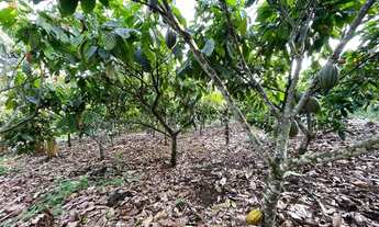 Imagem 4: Vendo maraviloso sitio em valenca