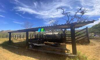 Imagem 6: FAZENDA À VENDA - 500 HECTARES - CORINTO (MG