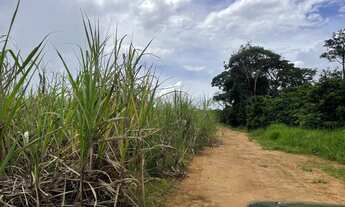 Imagem 5: Chácara em americano do Brasil