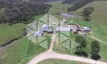 Imagem 6: FAZENDA COM 985 HA EM SÃO JOSÉ DOS AUSENTES- RS