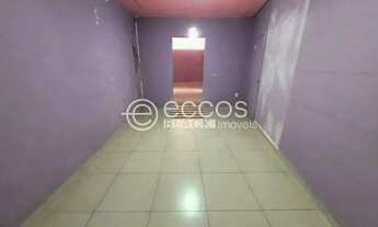 Imagem 7: Imóvel Comercial para aluguel, Vigilato Pereira - Uberlândia/MG