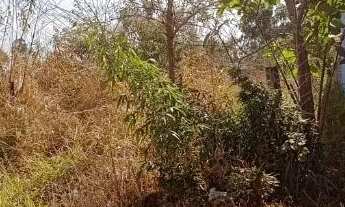 Imagem 2: CHACARA DAIA 2 BR 153