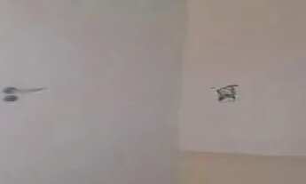 Imagem 12: APARTAMENTO - VILA SANTA ANGELINA - SP