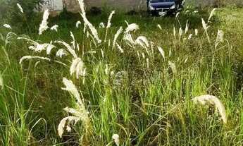 Imagem 3: Terreno à venda em Campinas, Botafogo, com 369 m²