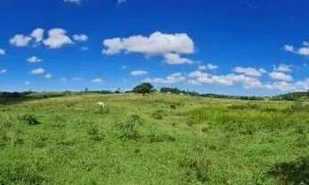Imagem 6: Fazenda em Araruama com 52 Alqueires - São Vicente de Paula - Araruama - RJ