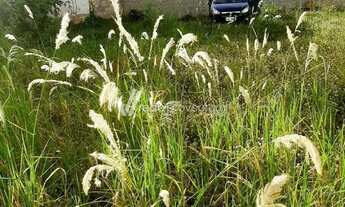Imagem 3: Terreno à venda no bairro Botafogo com 369,07m2
