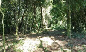 Imagem 3: Sítio / Chácara para Venda em Nova Petrópolis, Linha Imperial