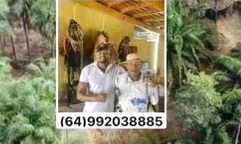 Imagem 4: Sitio em bela vista com o melhor preço da região