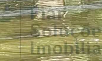 Imagem: PESQUEIRO BEIRA DO RIO - BARÃO DO MELGAÇO