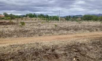 Imagem 7: Lotes 17X40 na beira do Rio Paraguaçu em Iaçu-Ba
