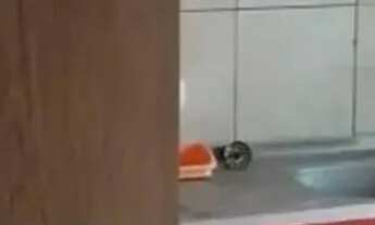 Imagem: Apartamento em Santa Maria Goretti