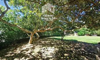 Imagem 6: Casa Térrea em Condomínio Busca Vida |1.172m²AT de Esquina