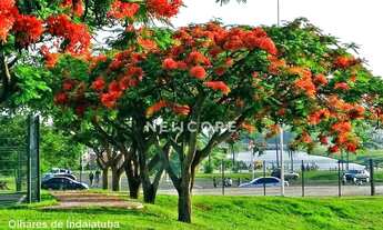 Imagem 5: Lote em Rua Arlindo Tachinardi - Vale do Sol - Indaiatuba/SP