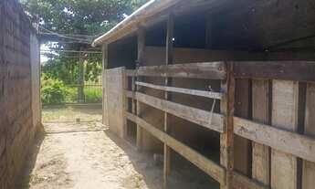 Imagem 3: Baia para cavalo