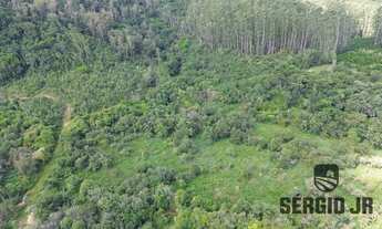 Imagem 6: Área de terra com 33,6ha em Montenegro