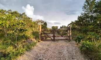 Imagem 3: Chácara para Venda em Cocalzinho de Goiás, Zona Rural, 1 dormitório, 1 banheiro, 15 vagas
