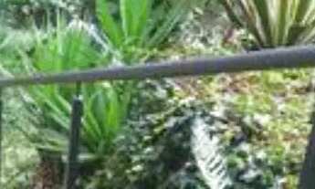 Imagem 4: Casa em Rua 12 de Junho - vale dos pinheiros - Gramado/RS