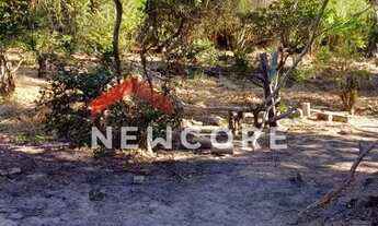 Imagem 3: Sítio em Bairro - Redentor (Melo Viana) - Esmeraldas/MG