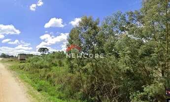 Imagem 3: Chácara em Rua Joana Kulka Ripka - 150m do ponto de ônibus principal da Balsa Nova - Campo
