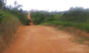 Imagem 3: Vendo terreno no horto