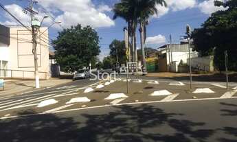 Imagem 5: Salão - Parque Taquaral - Campinas