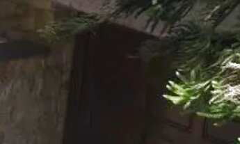 Imagem 7: CASA ASSOBRADADA - VILA FORMOSA - SP