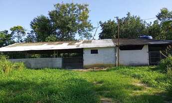 Imagem 2: Vende-se sítio em Conceição de Macabu