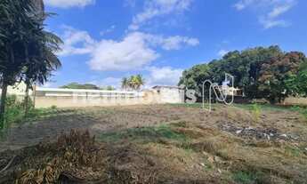 Imagem 6: Aluguel: Terreno 4.100 m2 na Artemia Pires próximo ao FTC bairro Sim