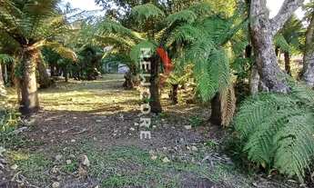 Imagem 5: Lote em Rua Edgar armin - Alpes Verdes - Canela/RS