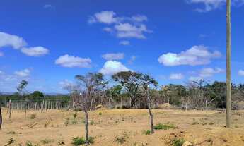 Imagem 3: Terreno próximo ao capão do mel