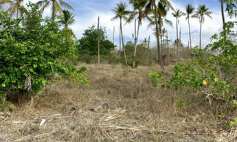 Imagem 4: Oportunidade em Glória do Goitá 4.2 hectare
