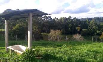 Imagem 4: Fazenda Oliveira minas gerai