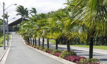 Imagem 5: LOTE BOULEVARD MAR D'ULÉ 300m2