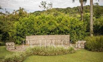 Imagem 2: Sítio - Centro - Tuiuti